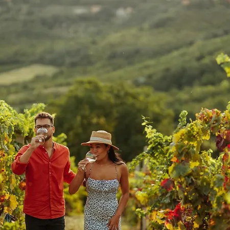 Lala Vineyard Glamping Luxury tent Sremski Karlovci